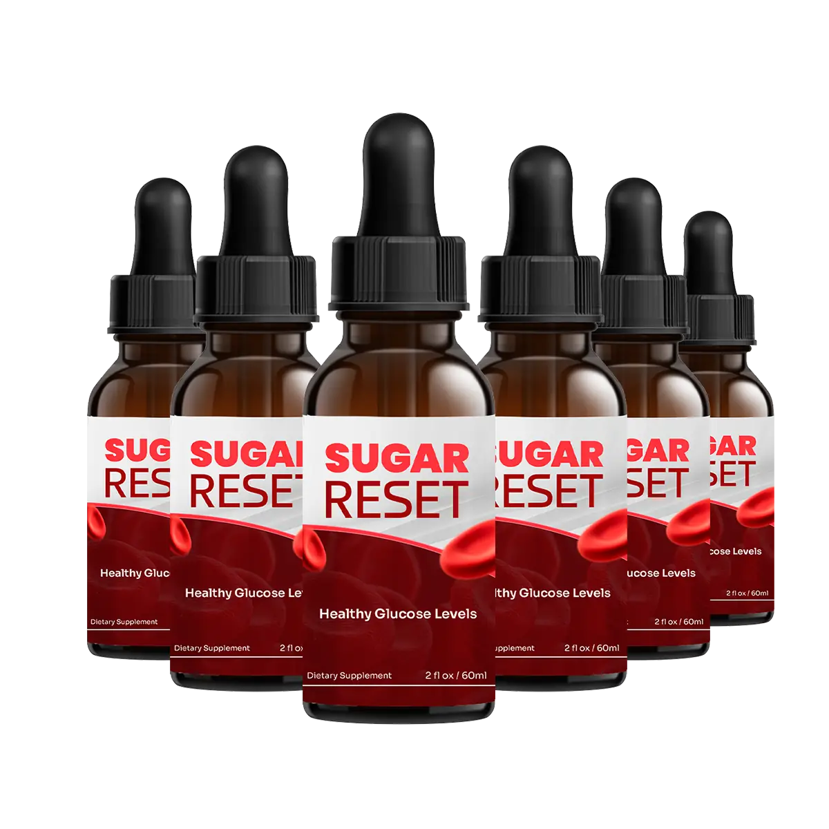 Sugar Reset 6 bottle package
